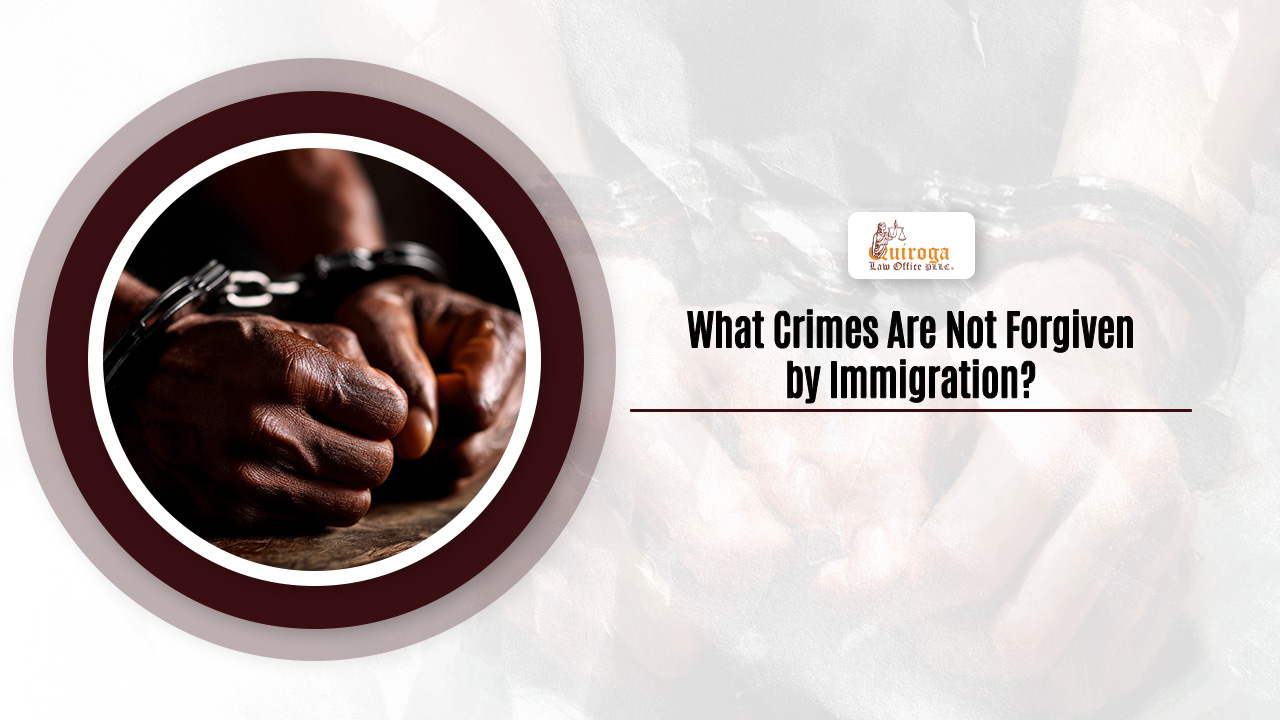 What Crimes Are Not Forgiven by Immigration